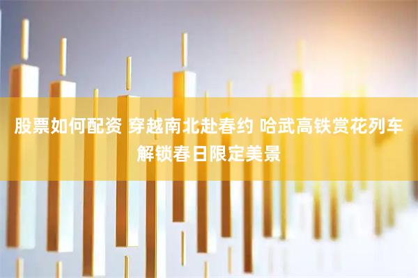 股票如何配资 穿越南北赴春约 哈武高铁赏花列车解锁春日限定美景