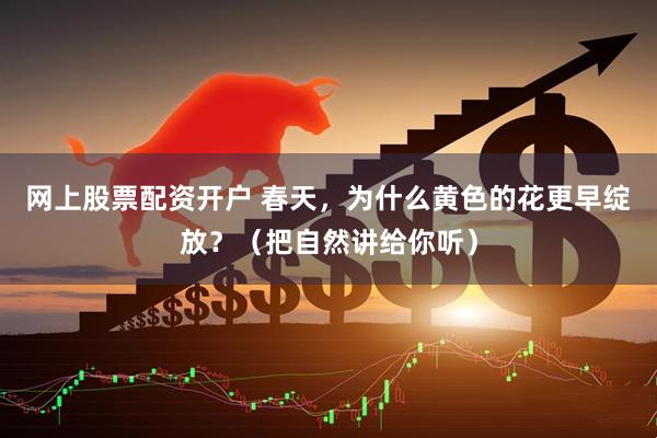 网上股票配资开户 春天，为什么黄色的花更早绽放？（把自然讲给你听）
