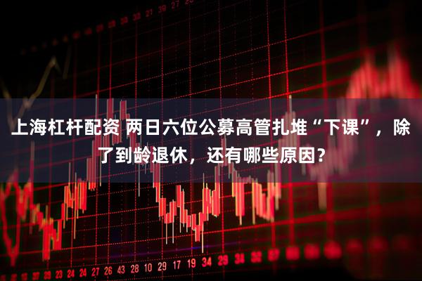 上海杠杆配资 两日六位公募高管扎堆“下课”，除了到龄退休，还有哪些原因？