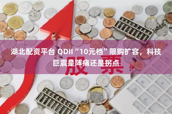 湖北配资平台 QDII“10元档”限购扩容，科技巨震是阵痛还是拐点